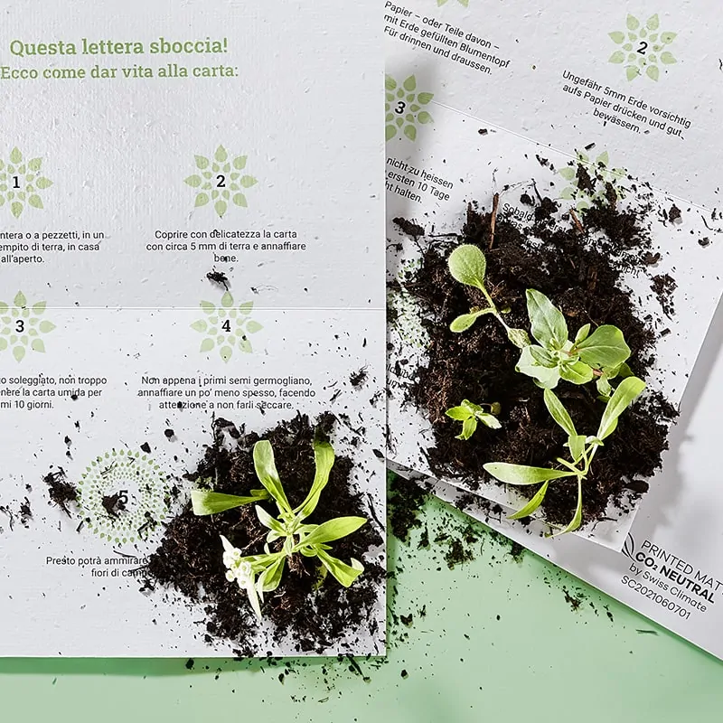 EGK DialogmarketingDialogmarketing für EGK Gesundheitskasse