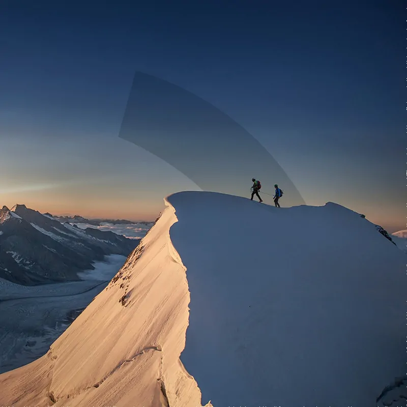 HPO BrandingBranding & Website für hpo management consulting