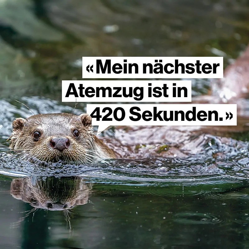 Tierpark goldau WerbekampagneWerbung für den Natur- und Tierpark Goldau