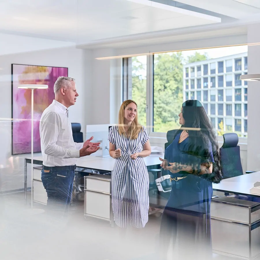 webdesign bachmann partner websiteWebdesign für Bachmann & Partner Immobilien